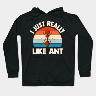 i just really like ants funny Insect Lovers Hoodie